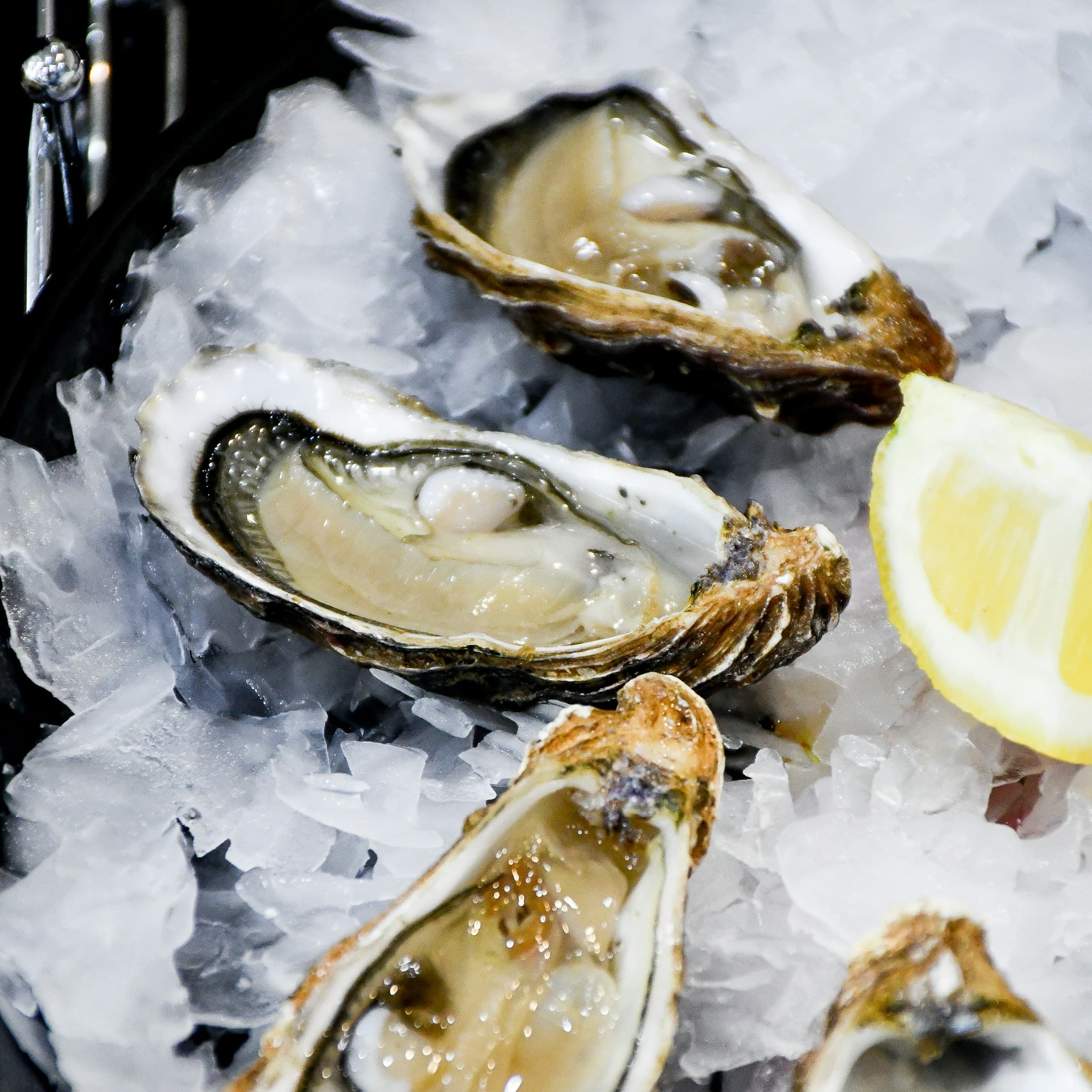 Carlsbad oysters on ice at the bar
